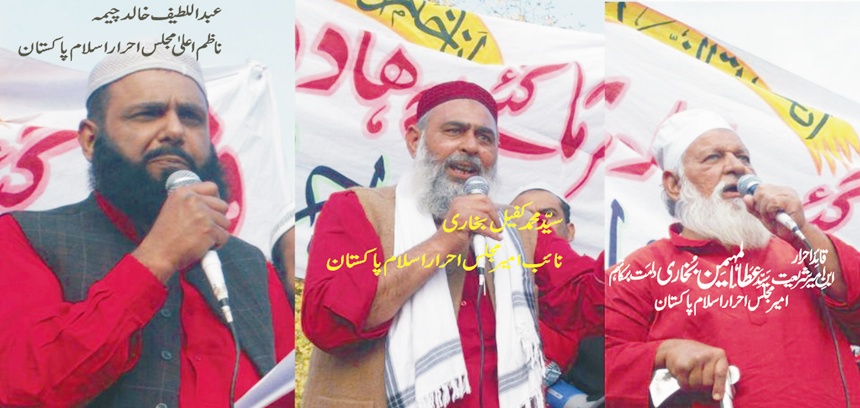 اردو زبان، سپریم کورٹ کا فیصلہ